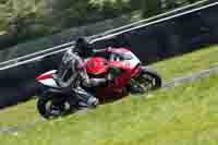 Adv_Mid Group Red Bikes